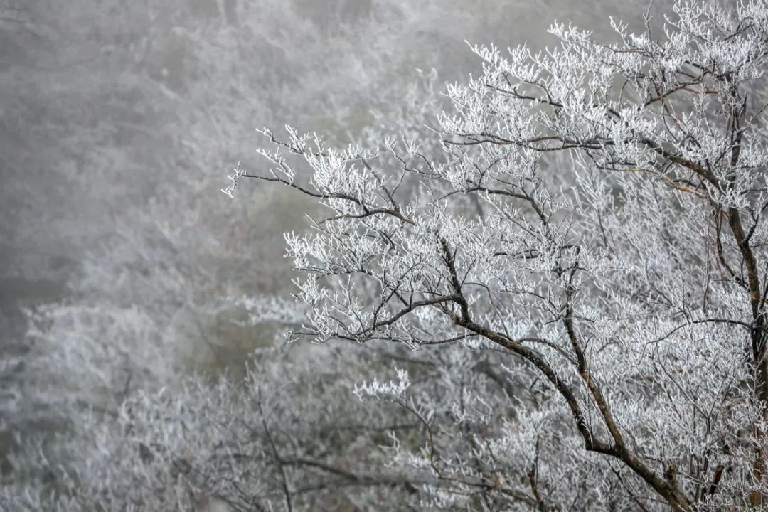 今年來最大范圍雨雪將影響超25省份 速戳進程表看你家何時雪花飄